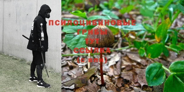 a pvp Горнозаводск