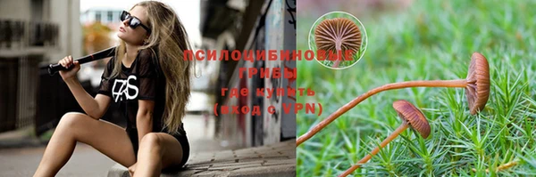 a pvp Горнозаводск