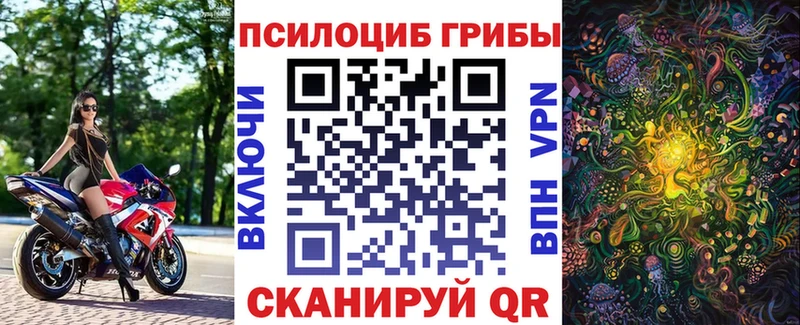 Галлюциногенные грибы ЛСД  Купить где  Николаевск 